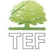 Toscana Eco Fanghi (S.R.L.)