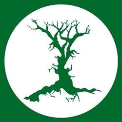 RES Srl Società Benefit