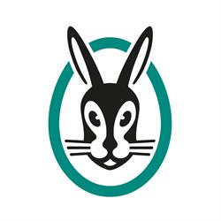 Vaillant Roma
