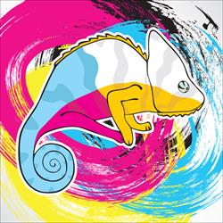 Eliografica s.n.c.
