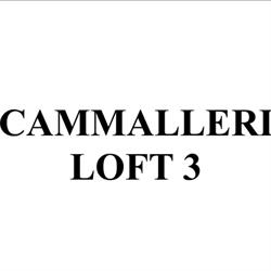 Cammalleri Loft 3