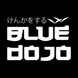 Blue Dojo • Your Nerd City Temple
