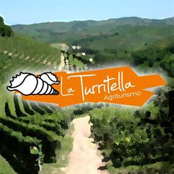 La Turritella