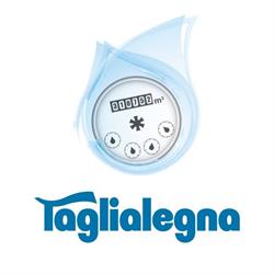 Ditta Taglialegna Lettura e Telelettura contatori acqua