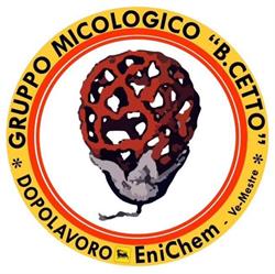 Gruppo Micologico Bruno Cetto