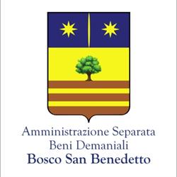 Bosco San Benedetto