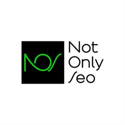 Not Only Seo Intellegenza Nella Comunicazione