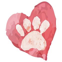 GP Servizi - Cremazione animali