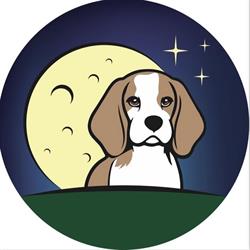 Allevamento Moonlightsky beagle