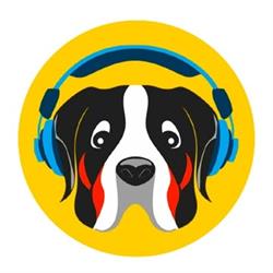 BbMusic Orvieto - Scuola di Musica