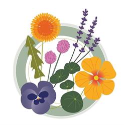 I Fiori di Castel d'Appio