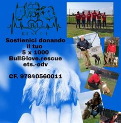 Bull and Love rescue ets odv