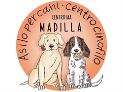 Madilla centro cinofilo