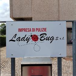 Lady Bug Srl