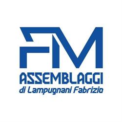 FM Assemblaggi di Lampugnani Fabrizio
