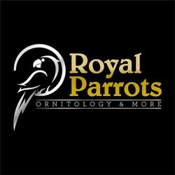 Royal Parrots di Zimbelli Enrico