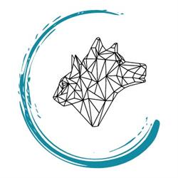 B.B Vet Clinica Veterinaria