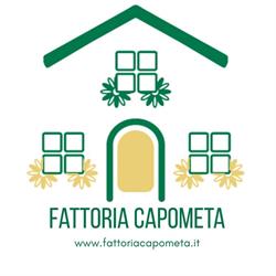 Fattoria Capometa