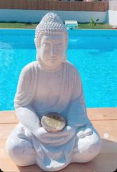 BUDDHA SUMMER