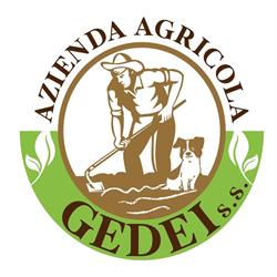 AZIENDA AGRICOLA GEDEI S.S.