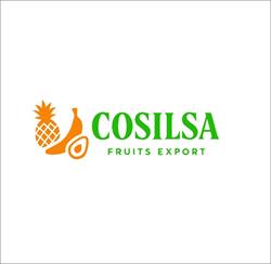 Cosilsa Fruits export
