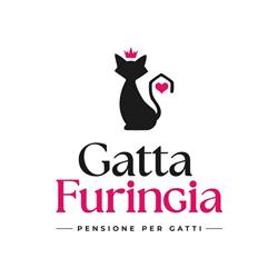 Gatta Furingia