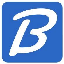 Binderbit