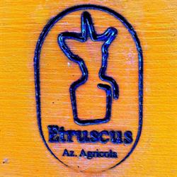 Etruscus