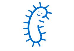 Parafarmacia IL BACILLO