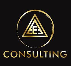E Consulting