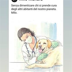 Ambulatorio Veterinario Associato Val Vibrata