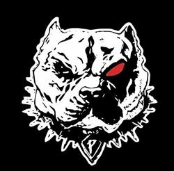Sigaretta elettronica palermo Pitbullboxmod