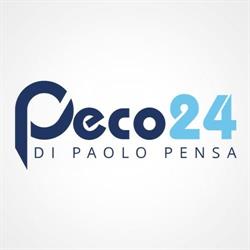 Tapparelle a Roma Peco24 - Pronto intervento elettriche e assistenza serrande