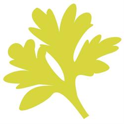 ASSENZ.IO