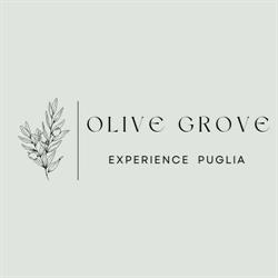 Olive Grove Experience
