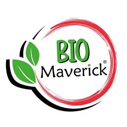 Maverick international