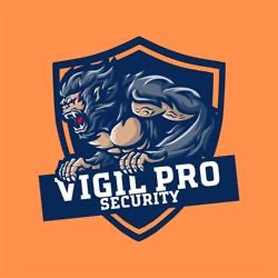 Vigil Pro Security