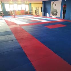 Olimpia Karate Carmagnola