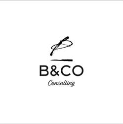 B&CO SRL A SOCIO UNICO