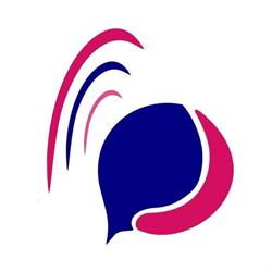 ProntoDebiti