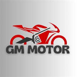 GM MOTOR moto e scooter
