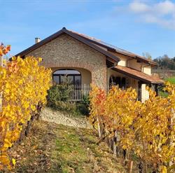 Assiolo Relais