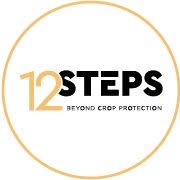 12Steps