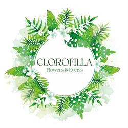 Clorofilla Flowers & Events - Boutique Floreale