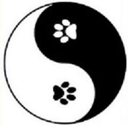 Doggy Zen