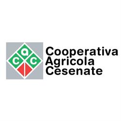CAC Seeds