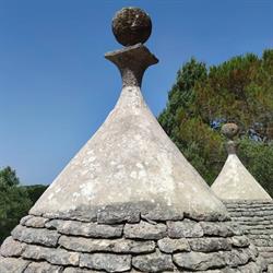 Purapulia
