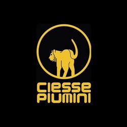 West Scout Factory Outlet - ciesse piumini