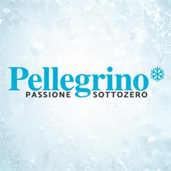 Pellegrino SRL - Ingrosso surgelati Messina