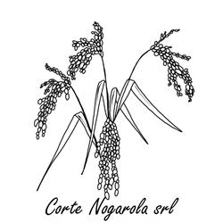 Corte Nogarola srl